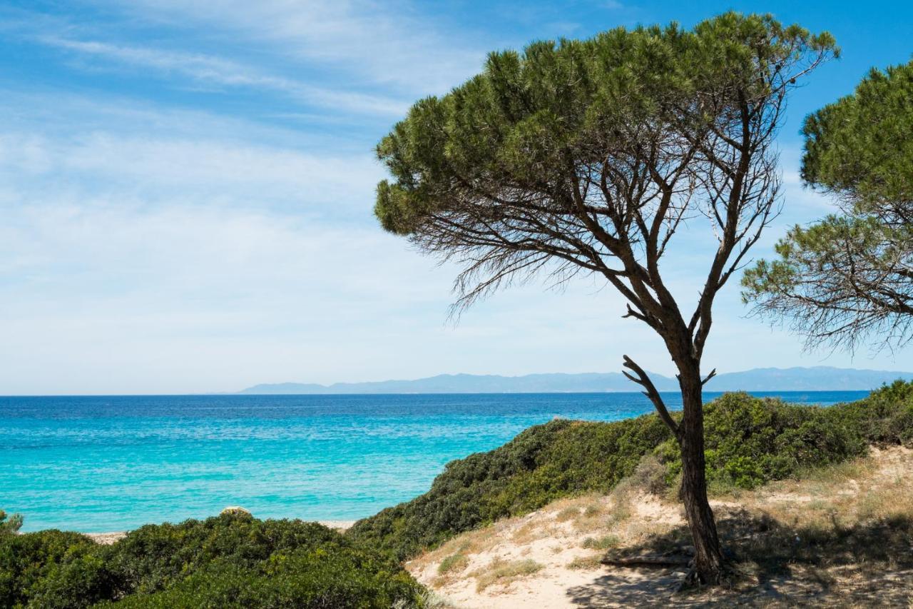Appartamento Con Vista Mare A Terramala Terra Mala Экстерьер фото